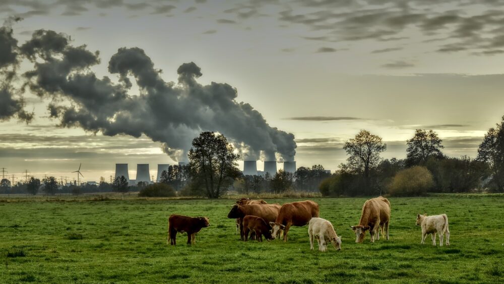 Intern salderen? Beoordelingskader gewijzigd voor projecten vanaf 2020